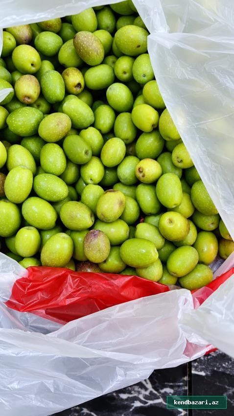 Zeytun satılır.